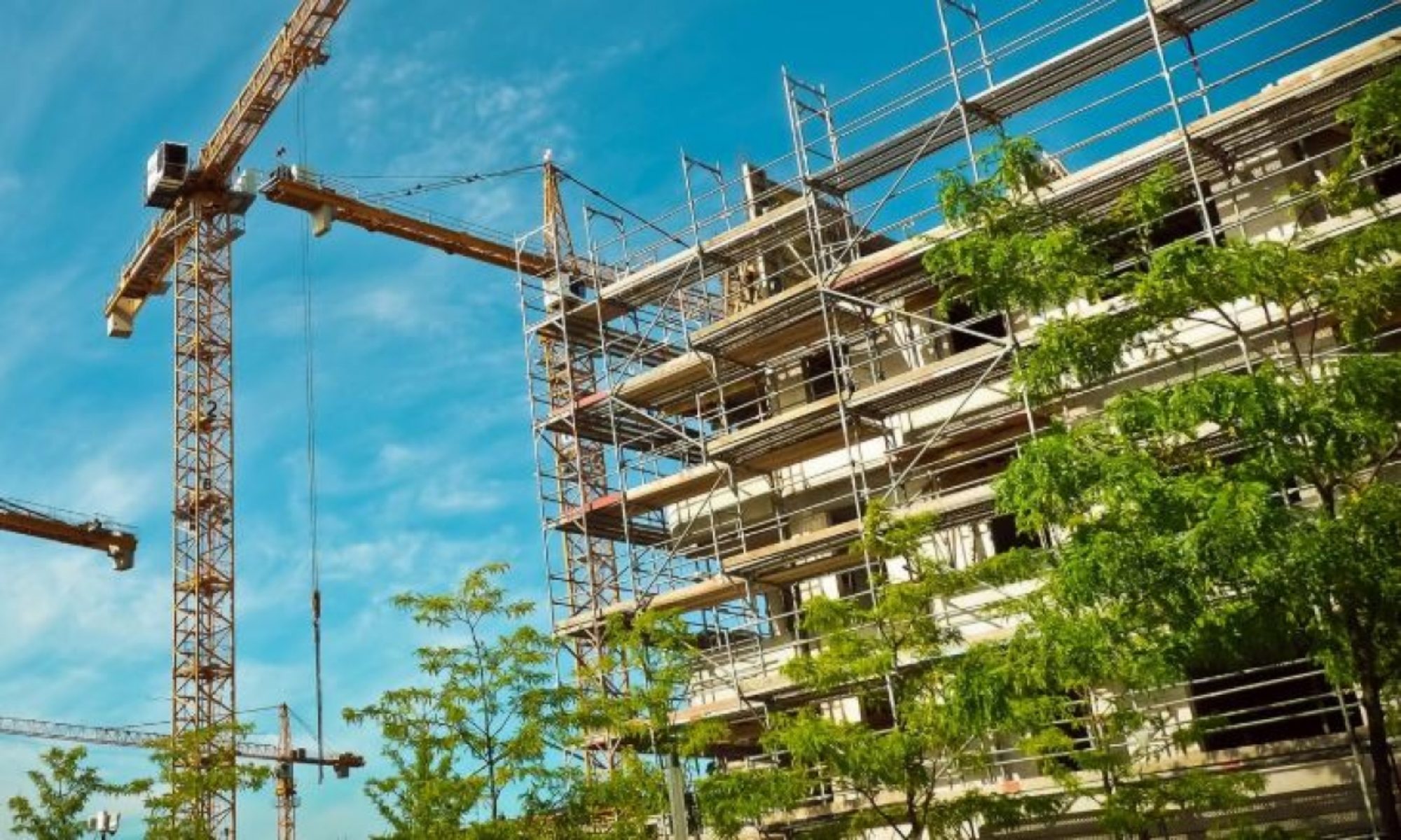 Ascension Scaffolding